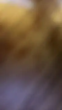 SexyAninha18 - SEXO(TICKET)