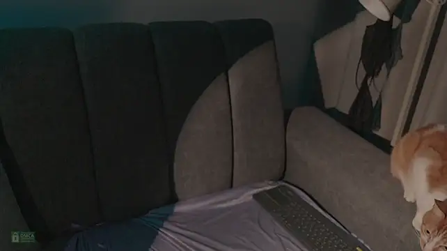 Abbyhall_ - Wax show