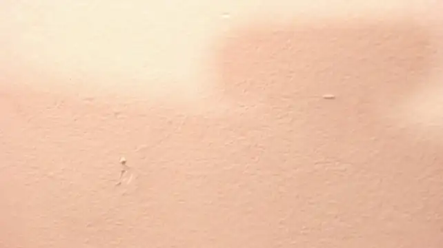Corinabaker - Play with my delicious pussy X 2min