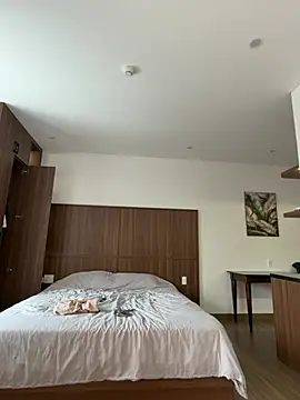 FlexibleDoll_