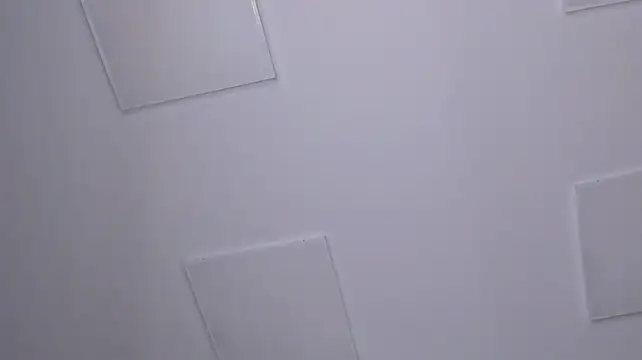 Bbgrasse1 - FINGERS INSIDE! FUCK PUSSY 💦