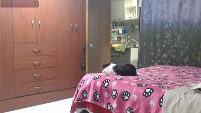 Miia-big1boobs_ - 🎀FLASH BIG ASS NATURAL🎁