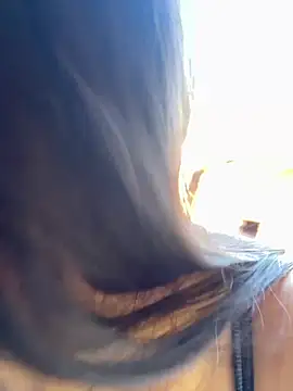 Xiaoxiong0508 - 内裤坐脸姿势十下Close-up shot of someone squatti