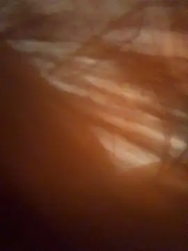 Daniela_ruizz - milk in titts+ahegado