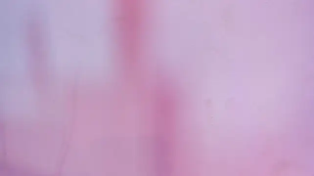 Mia_Tailor_Bms - plug in my tight ass ♠️🤗