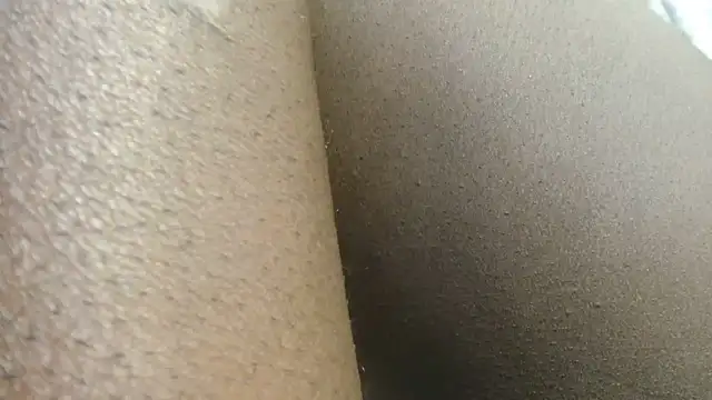 Titi_fiesta