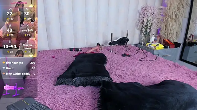 Veronica_hill_ - show anal new plug