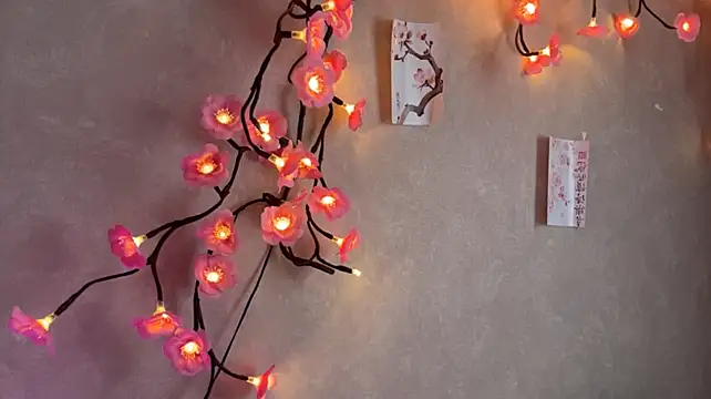 KamalaFlurry