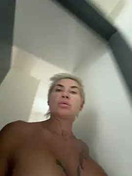 StellaFit