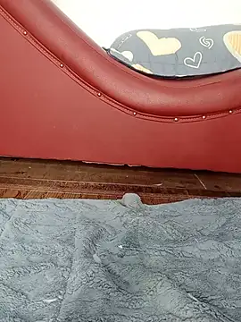 Lauda-aa