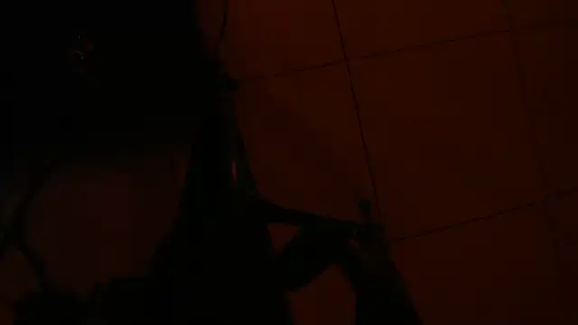 Zoemoon_HL - Control my lush