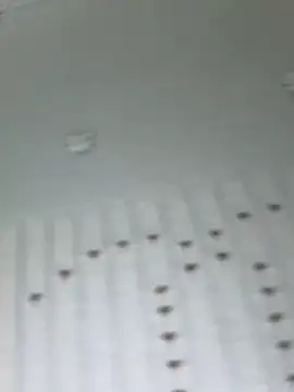 Saozi666 - 完成目标可选：挤奶水、小粉入穴M腿、后入特写、开双插票、叼内裤摇屁股、说爸爸操我