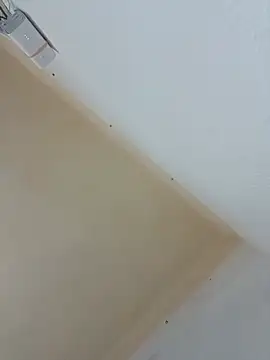 Salma_dalouaa