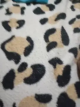 Amandasafadinha31 - Gozar