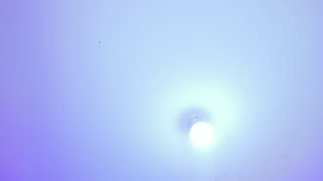 Megan11_11 - Double penetration