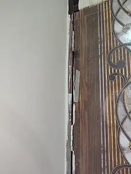 New_desi_bhabhi - Anal finger