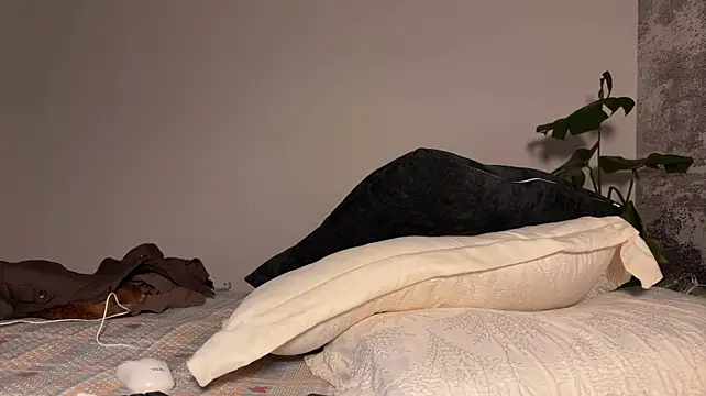 MeowLili