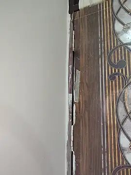 New_desi_bhabhi - Anal finger
