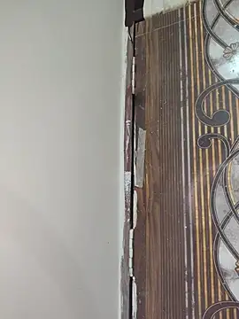New_desi_bhabhi - Anal finger
