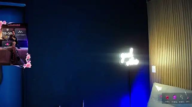 Raven_Blue_ - 🖤Lush Level 1/ Spank Assx14🖤