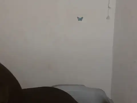 Strip_me_naked_ - shake my ass to a song request