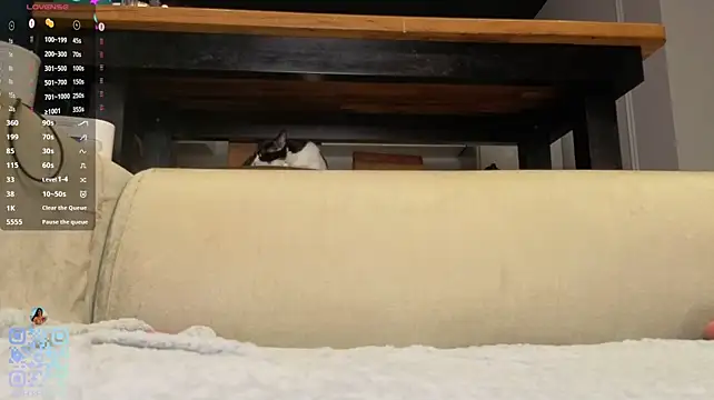 SweetSakuraJane