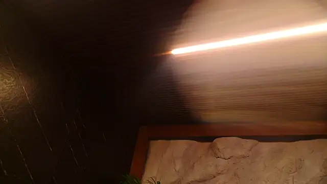 Mollyjackson_ - RIDE MOLLY 👻
