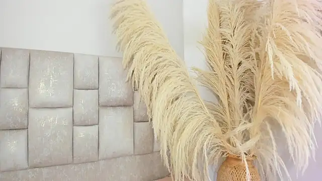 DesireSweet - PANTY FF + ZOOM WET PUSSY💋🔥