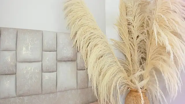 DesireSweet - PANTY FF + ZOOM WET PUSSY💋🔥