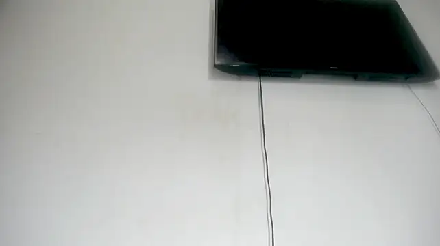 Fox_Loves