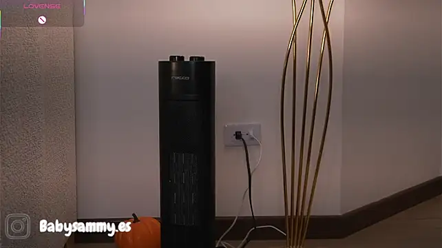 Baby_sammyy - Plug anal + fingering pussy 🌸