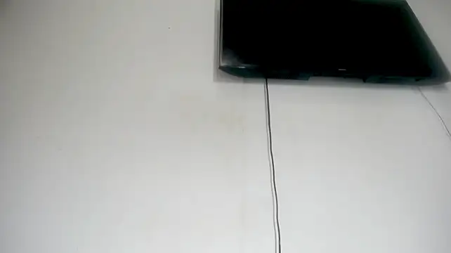 Fox_Loves