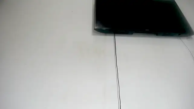 Fox_Loves