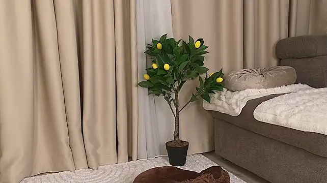 Claire_LJ