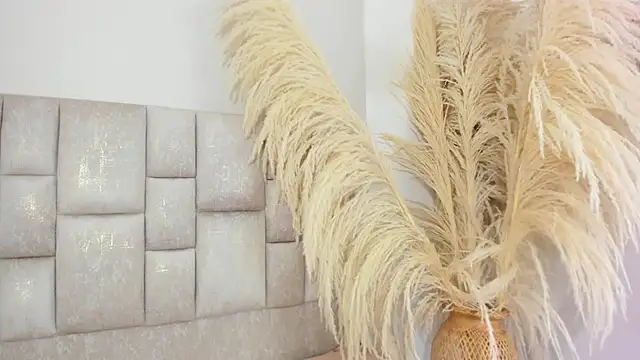 DesireSweet - PANTY FF + ZOOM WET PUSSY💋🔥