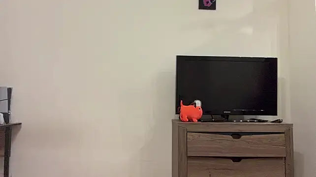 PaintedDisplay - Make me the happiest !<3