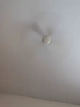 Manasa_