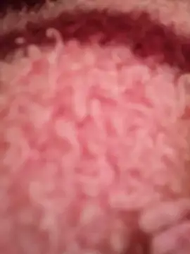 _KapiiTana_