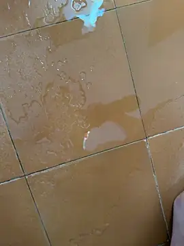 Wet-Pussycat - Squirt