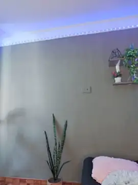 Gabby_Hill - suck dildo-fuck boobs🍆💧