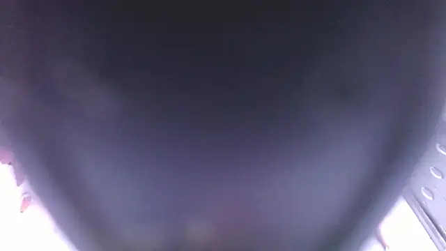 Isabelasex1 - TWERK