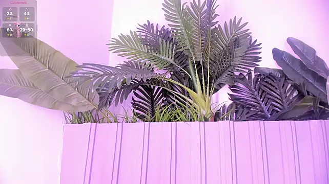 Stephanymonroe - SLOOPY FUCKFACE 🥵 FAV LVL 100