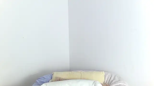RebeFucksonn