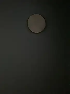 Amberr_Roose