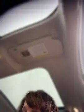 BaileyMFox - Toy show in the car