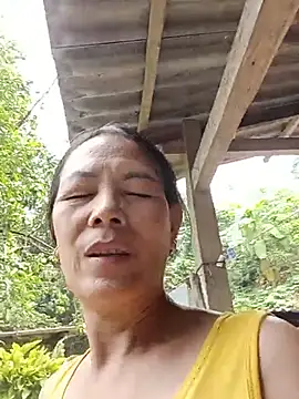 Toyo_668