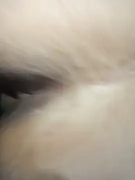 Lagartonasexy1 - Camara