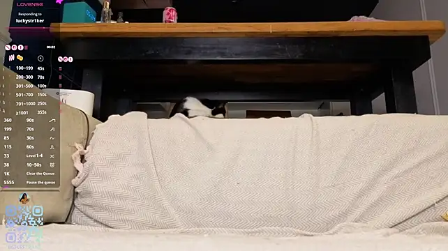 SweetSakuraJane