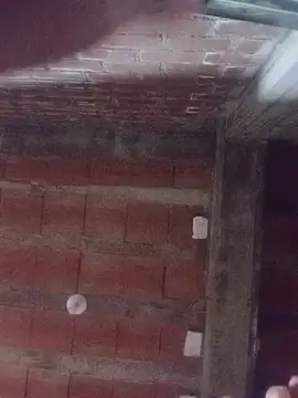Claudiafresita - Mostrarte en 4 con pantalón