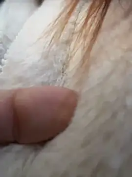 LisaCatt - play with nipples, lick fingers